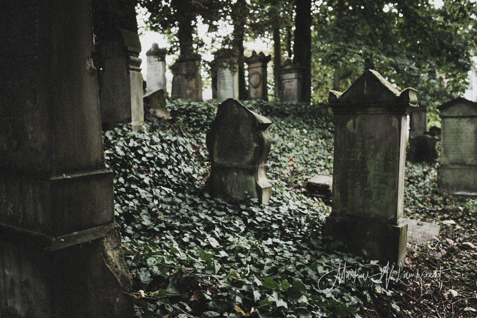 Steinheim (Westfalen), Jüdischer Friedhof